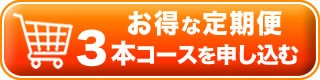 ジェムペースト-定期便3本コースの注文