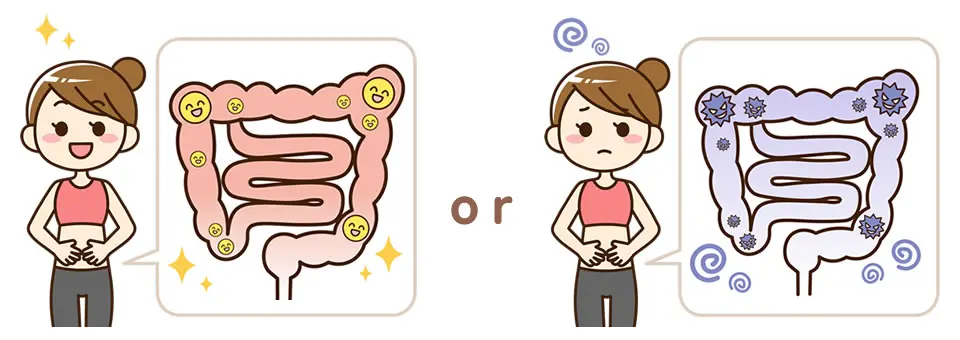 腸内環境のいい人、悪い人