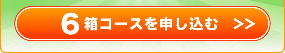 6箱コースを注文する