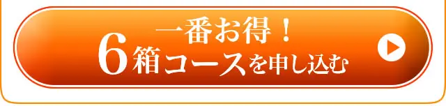 6箱コースを注文する