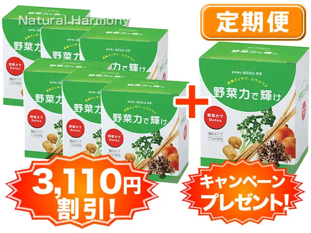 野菜力で輝け-定期便6箱コース