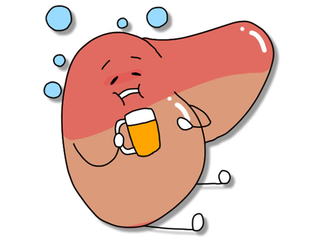 脂肪肝の肝臓