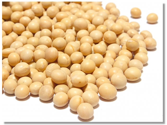 レシチンが多く含まれる大豆