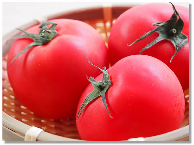 かごに盛られたトマト